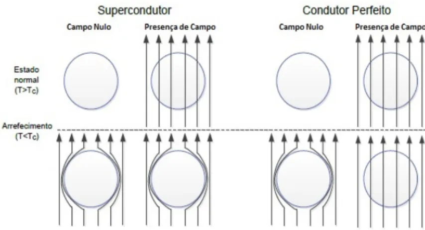 Figura 2.4: Comparação entre supercondutor e condutor perfeito quando T&lt;T c em campo nulo ou na presença de campo, adaptado de [5]
