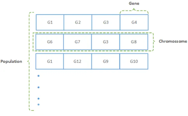 Figure 3.4: Illustration of the constitution of a GA’s population.