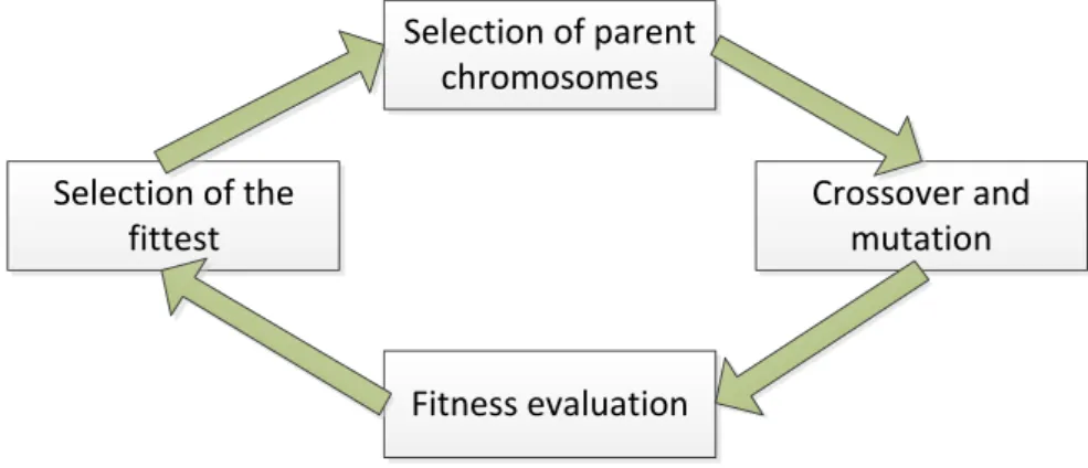 Figure 2.7: A genetic algorithm evolution cycle