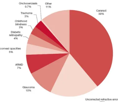 Figure 1.4 - Global causes of blindness due to eye diseases and uncorrected refractive errors   estimated in 2006