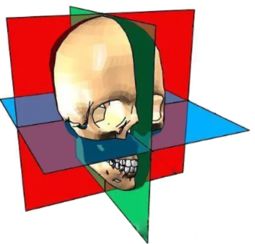 Figure 1.1: Anatomical planes. Axial plane in blue, sagittal in green and coronal in red