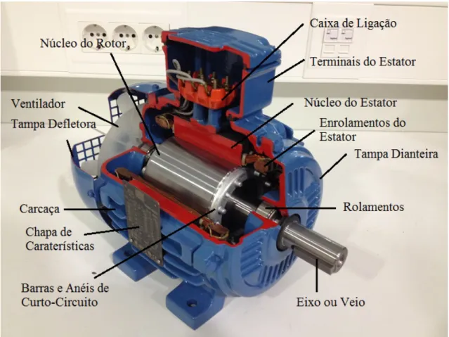 Figura 3.1: Partes constituintes do MI com rotor em gaiola de esquilo e refrigerado a ar.