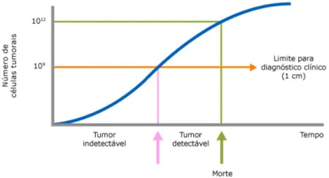 Figura 2.3: Evolu¸c˜ao do Cancro da Mama.