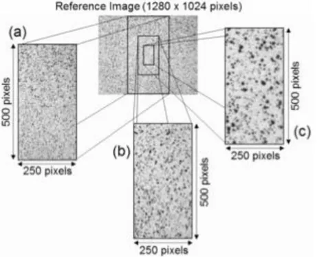 Figure 2-13. Three reference images used in the experimental validation (A- left, B- middle, C-  right) (Pan et al