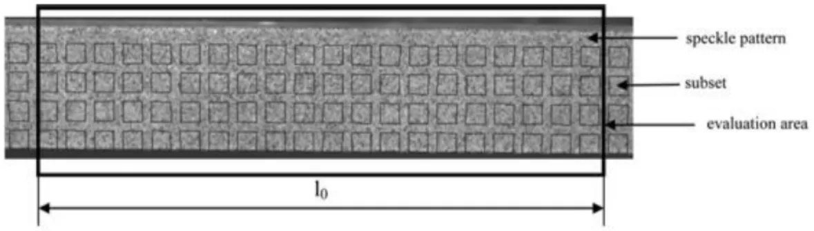 Figure 2-16. The random speckle pattern and the predefined blocks positioned by the software  ARAMIS from (Jerabek, Major, and Lang 2010) 