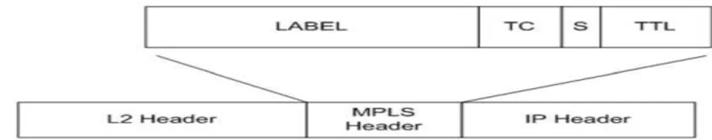 Figure 2.1 IP packet encapsulated by MPLS header. 