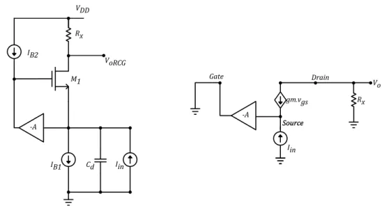 Figure 3.3: (a) Common Gate stage with local feedback and (b) it’s small signal equivalent.