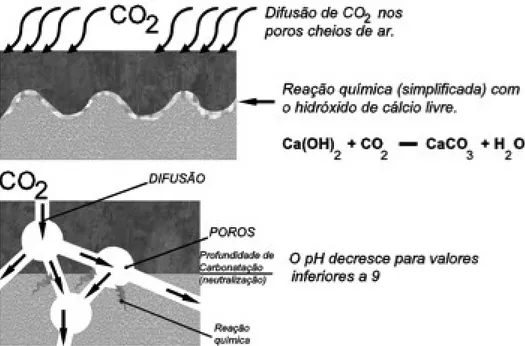 Figura 8. Representação esquemática do processo de carbonatação (CEB, 1984).