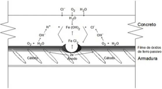 Figura 9. Formação do pite de corrosão pela ação dos cloretos (TREADAWAY, 1988).