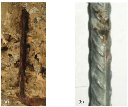 Figura  4.  Aparência  superficial  da  corrosão  generalizada  desencadeada  pela  carbonatação  do  concreto  (a)  e  da  corrosão  puntiforme  desencadeada pela ação dos íons cloreto (b).