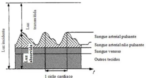 Figura 3.4 Sinal Pletismográfico completo 