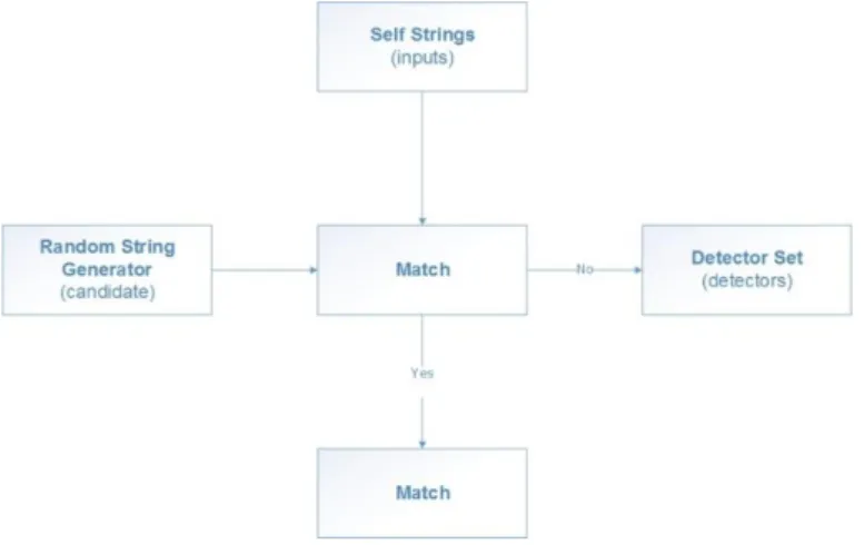 Figure 3.7 – Negative Selection Algorithm Overview. 