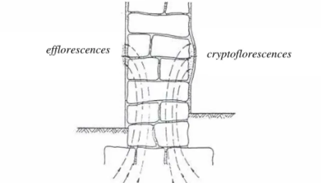 Figure 4 – Development of efflorescences and cryptoflorescences phenomena (Silva, 1983) 