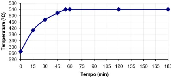 Figura 1 – Gradiente térmico do processo de calcinação da cinza. 