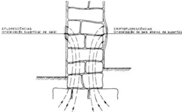 Fig. 1 – Formação de eflorescências e de criptoflorescências por acção dos sais solúveis  higroscópicos (HENRIQUES, 1994) 