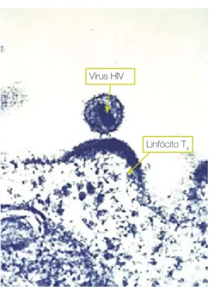 Figura 2 – Representação de um vírus.