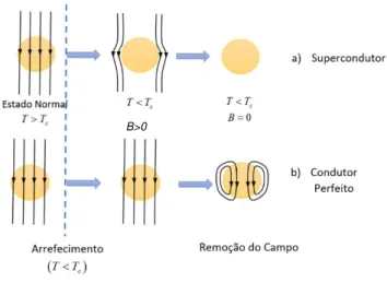 Figura 2.4 - Comparação entre a) supercondutor e b) condutor perfeito. 
