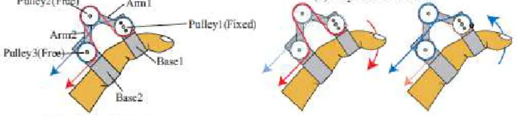 Fig 2.1: An example of the four-bar mechanism used to transmit power to the phalan- phalan-ges (Taken from [1]) 