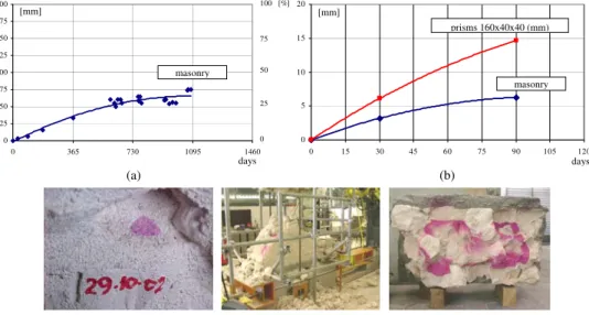 Figure 11 – Evolution of the carbonation depth on the lime mortar 