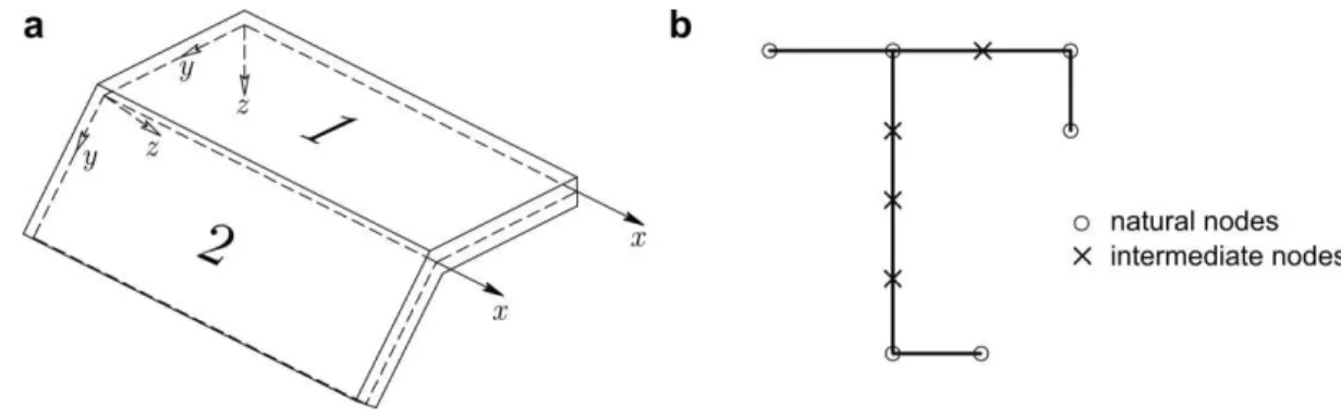 Figure 1: (a) Wall local axes and (b) cross-section discretization.  