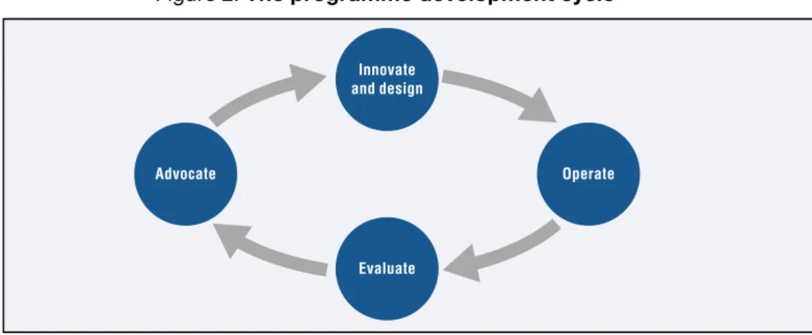 Figure 2. The programme development cycle