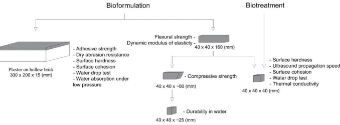 Figure  3.1  summarizes  the  tests  performed  on  each  specimen  for  the  different  approaches  of  the  bioproducts