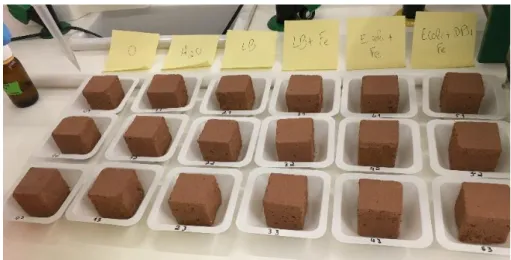 Figure 3.3 - Cubic earth mortar specimens used on the 1 st  screening 