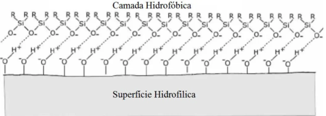 Figura 2.6 – Molécula de silicone numa superfície hidrofílica. Adaptado de [28]. 