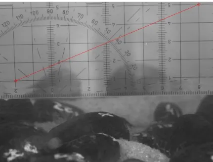 Figure 5.6: Example of a calibration image with a pair of points marked for calibration purposes.