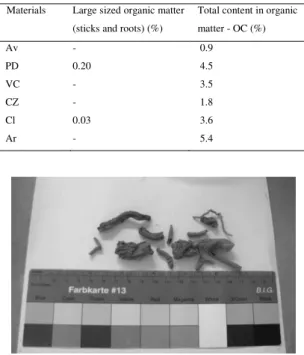 Fig. 7. Organic matter exceeding 10 mm length (case-study PD)