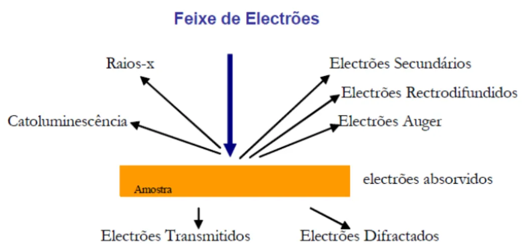 Figura 6 - Tipos de radiação emitida por uma amostra submetida  a um feixe de electrões (Sá, 2005) 