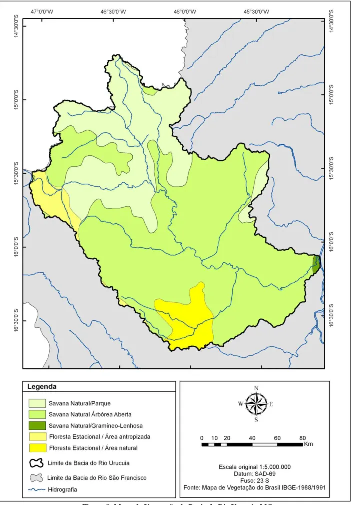 Figura 8: Mapa de Vegetação da Bacia do Rio Urucuia-MG 