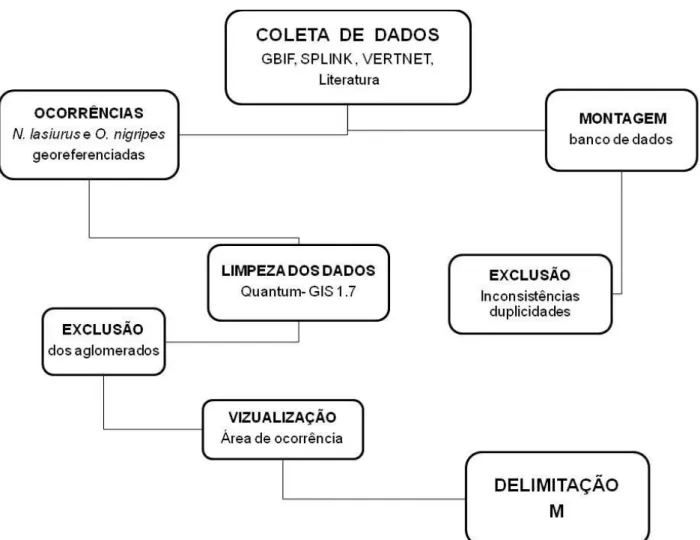 Figura 7. Fluxograma da metodologia da coleta de dados para a modelagem de  nicho ecológico dos roedores N