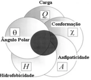 Figura  5  – Inter-relação  entre  os  determinantes  estruturais  dos  PAMs.  A  eficácia  antimicrobiana ideal dos peptídeos ocorre na zona de coordenação entre elas (área circular  escura)