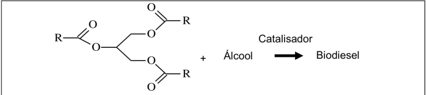 Figura 2. Esquema de conversão de um triacilglicerol em biodisel via alcóolise.