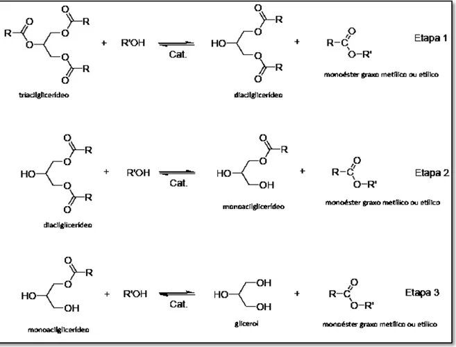 Figura 3. Etapas reacionais envolvidas na transesterificação de triacilglicerídeos (Meneghetti e  Colaboradores, 2013)