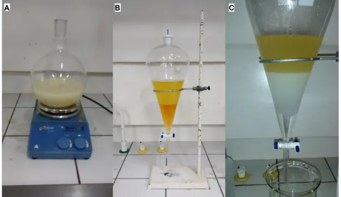 Figura 6. Etapas de produção e coleta da água de lavagem do biodiesel de soja. A - alcóolise; B -  decantação da glicerina e C - lavagem (Fotografias de arquivo do autor)