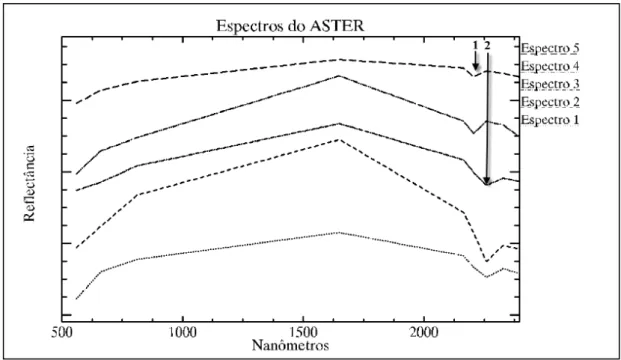 Figura 2.6: Espectros de solos reamostrados para os sensores VNIR e SWIR - ASTER. 