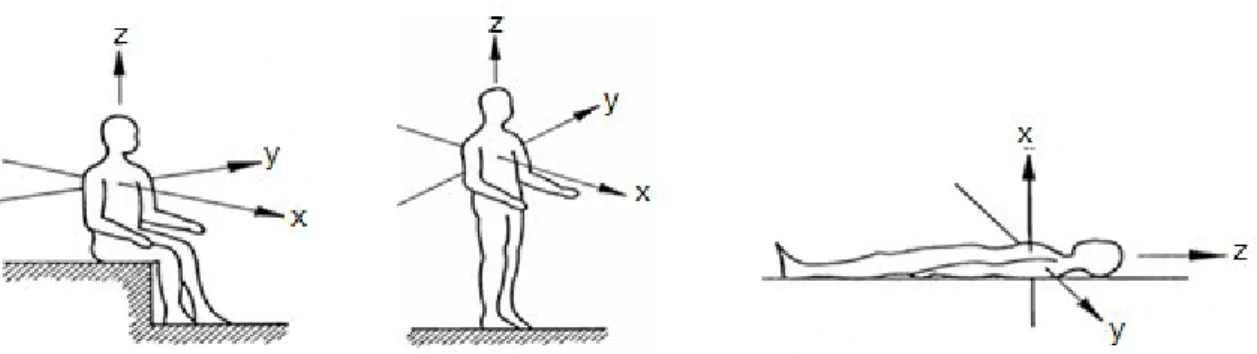 Figura 3.1 - Direcções do sistema de coordenadas para vibrações em seres humanos [26]