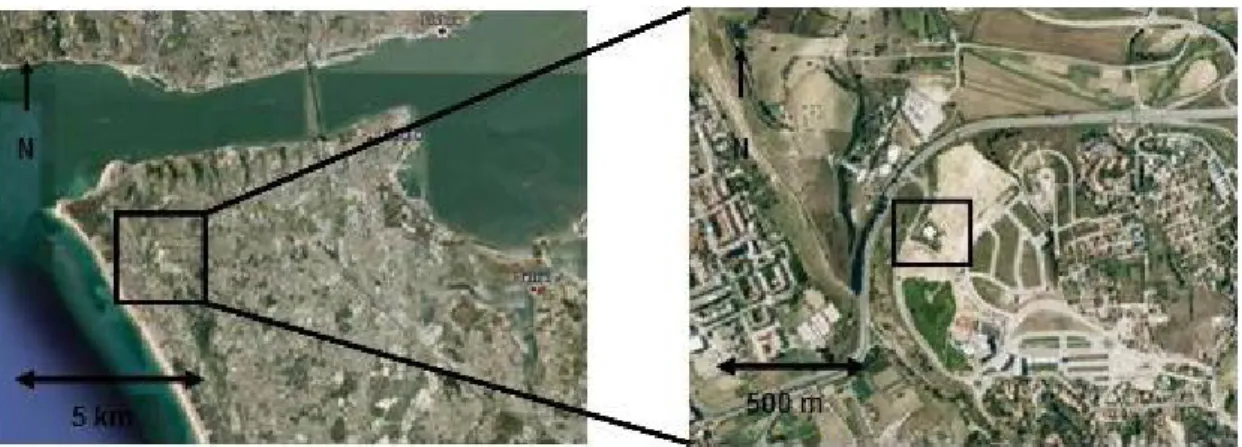 Figura 4.1– Local de recolha do solo nos Capuchos (Google Earth – Silva, M. 2010) 