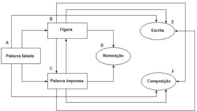 Figura 1: Diagrama esquemático da rede de relações condicionais envolvidas nos repertórios de  leitura  e  escrita  (adaptação  de  Albuquerque  &amp;  Melo,  2005  a  proposta  de  Stromer,  Mackay  e  Stoddard, 1992)