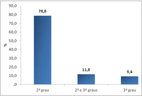 Gráfico  6  -  Distribuição  dos  pacientes  classificados  por  profundidade  da  queimadura  nas  crianças e adolescentes internados na Unidade de Queimados do Hospital Regional da Asa  Norte em 2011