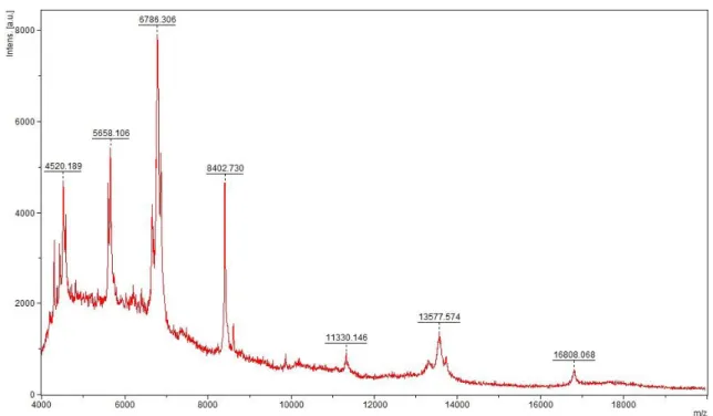 FIGURA 10.  Espectro de massa da fração 2  purificados por RP-HPLC em coluna analítica  C 18 
