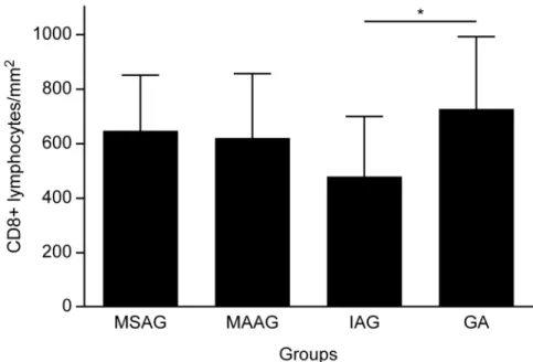 FIG  1  Comparison  of  the  density  of  CD8 +   T  lymphocytes  among  the  groups.MSAG=moderate/severe  active  gastritis,  MAAG=mild  active  gastritis,  IAG=inactive gastritis and GA=gastric adenocarcinoma (* p&lt;0.05) 