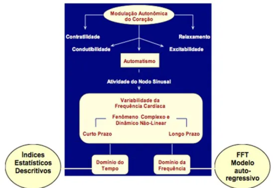 Figura 5 - Esquema da modulação autonômica sobre o coração e as possibilidades de análise  da variabilidade da frequência cardíaca, tanto no domínio do tempo quanto da frequência  espectral 