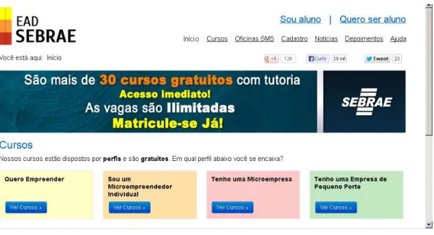 FIGURA 1: Perfil dos cursos oferecidos no EAD SEBRAE 