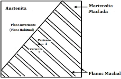 Figura 2.2 -Esquema da interface martensita–austenita, (Lagoudas, 2008 – modificada)  A transformação martensítica pode ocorrer ao longo do plano invariante através de  dois mecanismos diferentes, chamado de mecanismo de estrutura de cortes invariantes