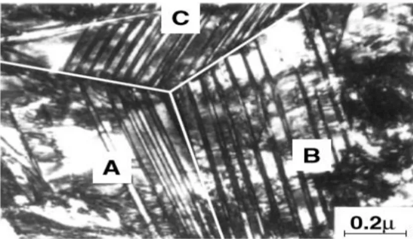 Figura 2.3 – Micrografia de auto-acomodação monoclínica (Madangopal,1997). 