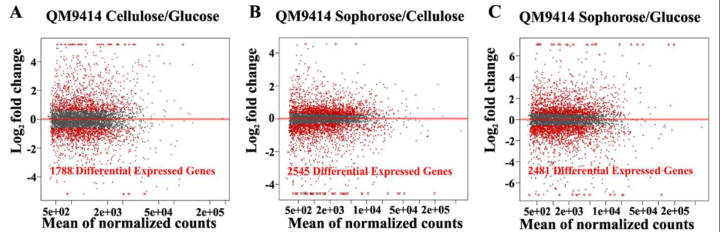 Figure 2A shows that 1,886 genes were differentially expressed in glucose and in cellulose, as represented by 703 and 491 genes being up- and downregulated  exclu-sively in glucose, and 254 and 102 genes being up- and downregulated exclusively in cellulose