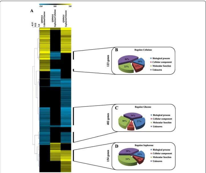 Figure 3 Gene expression profile of T. reesei , QM9414 strain, during grown in the presence of cellulose, sophorose and glucose as the carbon source